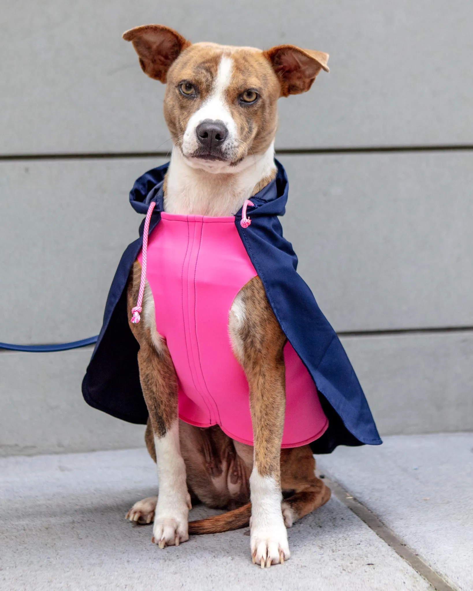 Action Jacket Pull-On Raincoat in Navy   Neon Pink (Made in NYC)