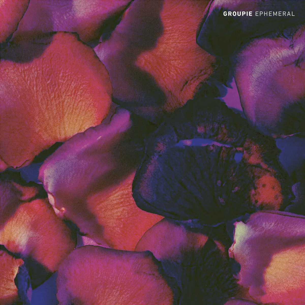 Groupie "Ephemeral"