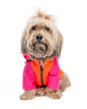 Nylon Colorblock Dog Rainbreaker in Neon Pink   Orange (Exclusive to DOG & CO.)