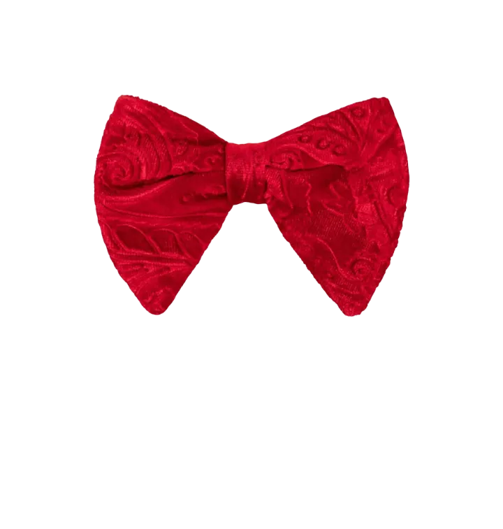 Red men's velvet paisley bowtie and pocket square