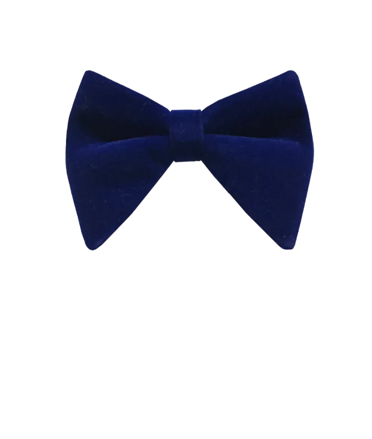 Royal blue men's velvet bowtie and pocket square